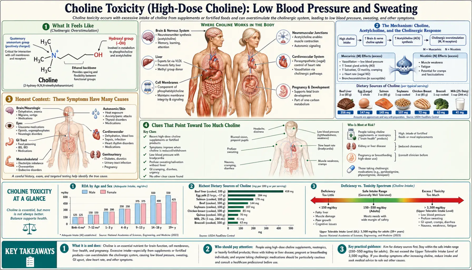 Low Blood Pressure and Sweating — scientific infographic poster