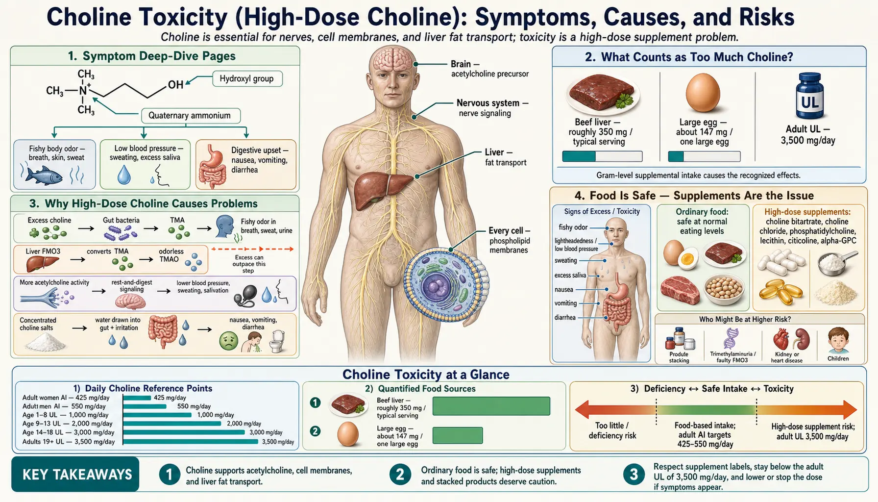 Toxicity — scientific infographic poster
