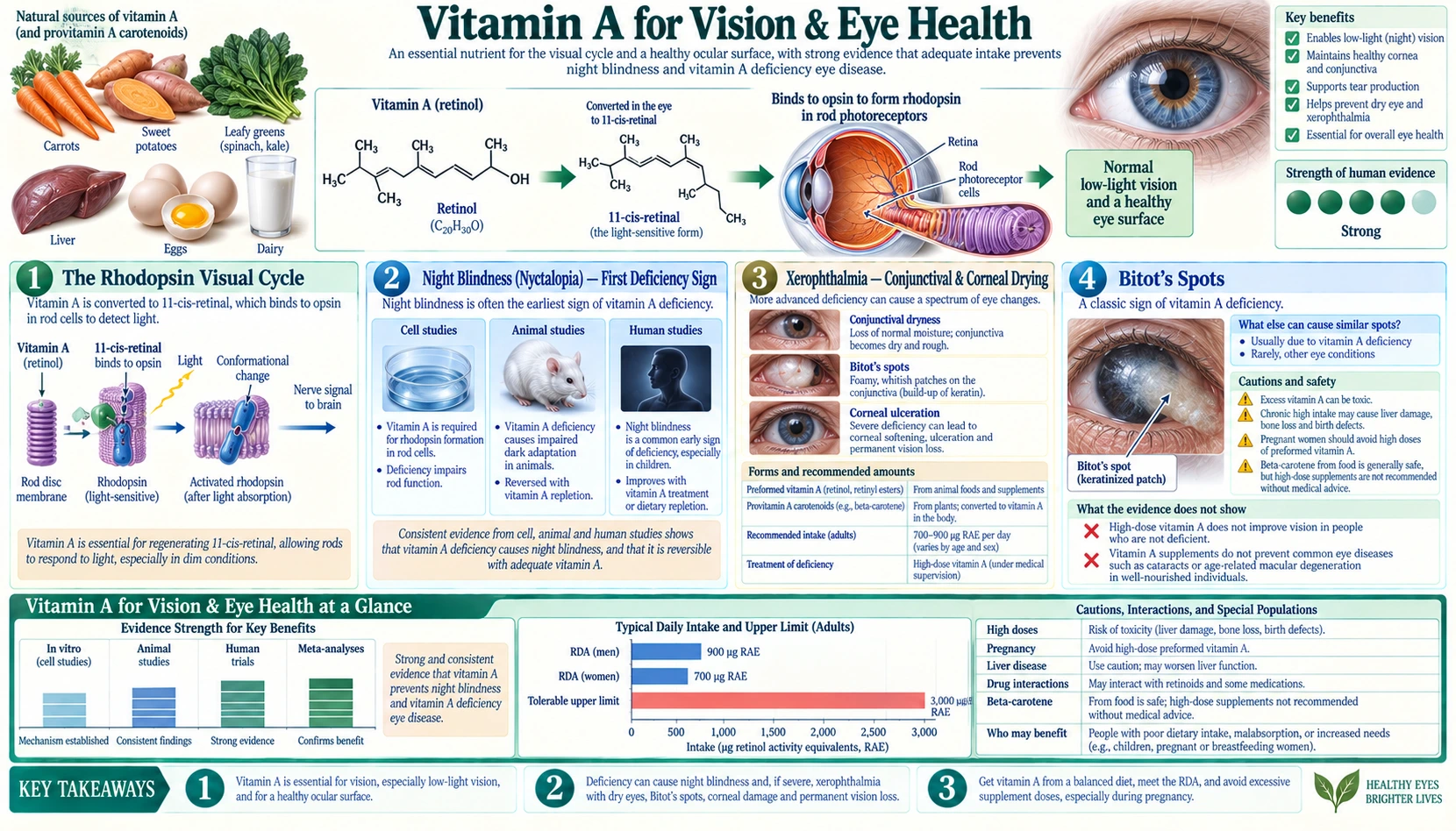 Vision and Eye Health — scientific infographic poster