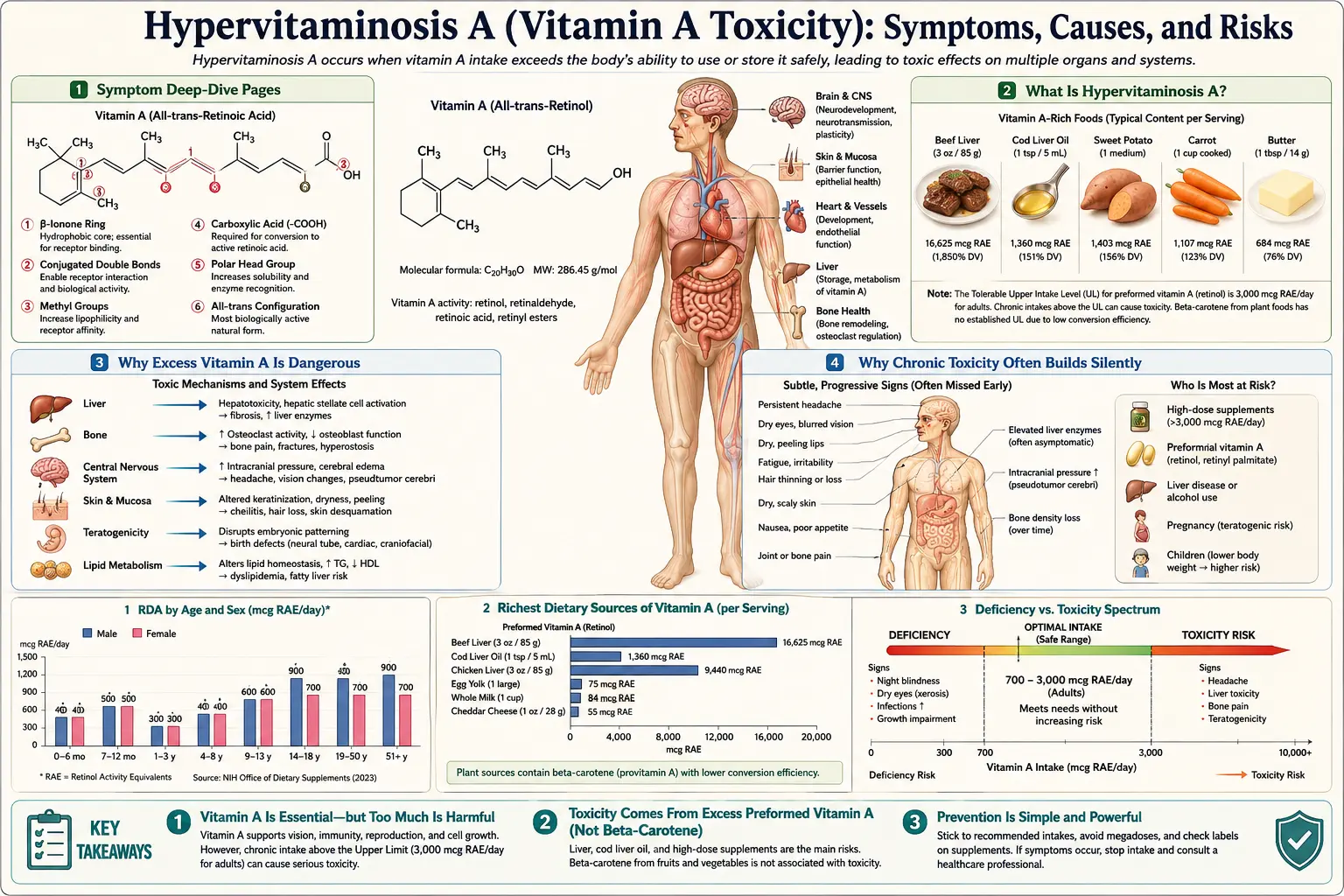 Toxicity — scientific infographic poster