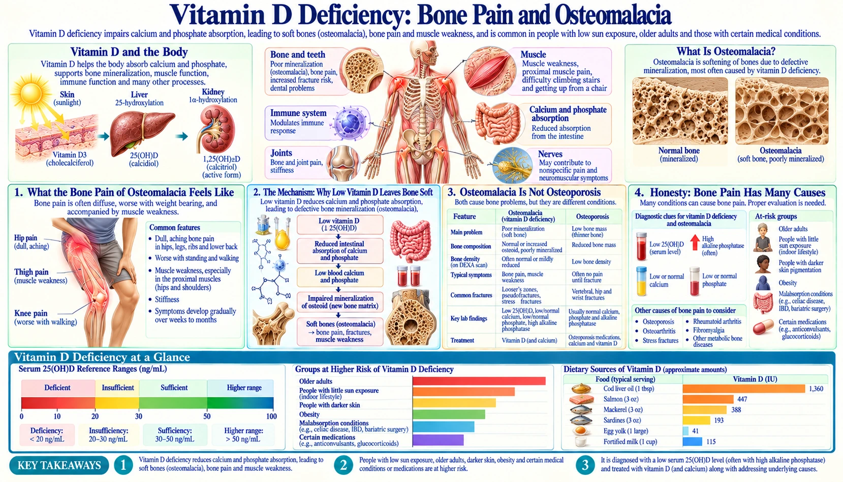 Bone Pain and Osteomalacia — scientific infographic poster