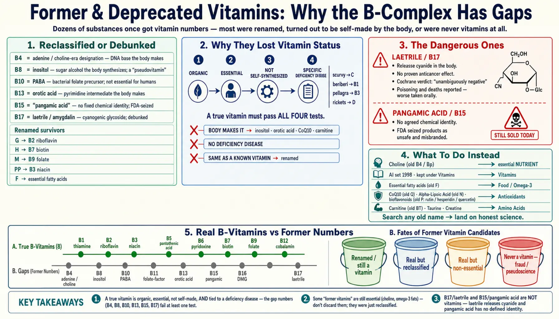 Former Vitamins — scientific infographic poster