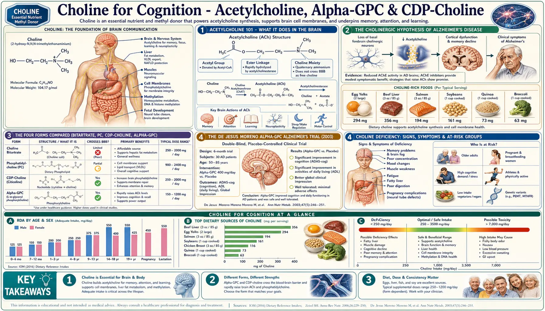 Cognition and Acetylcholine — scientific infographic poster
