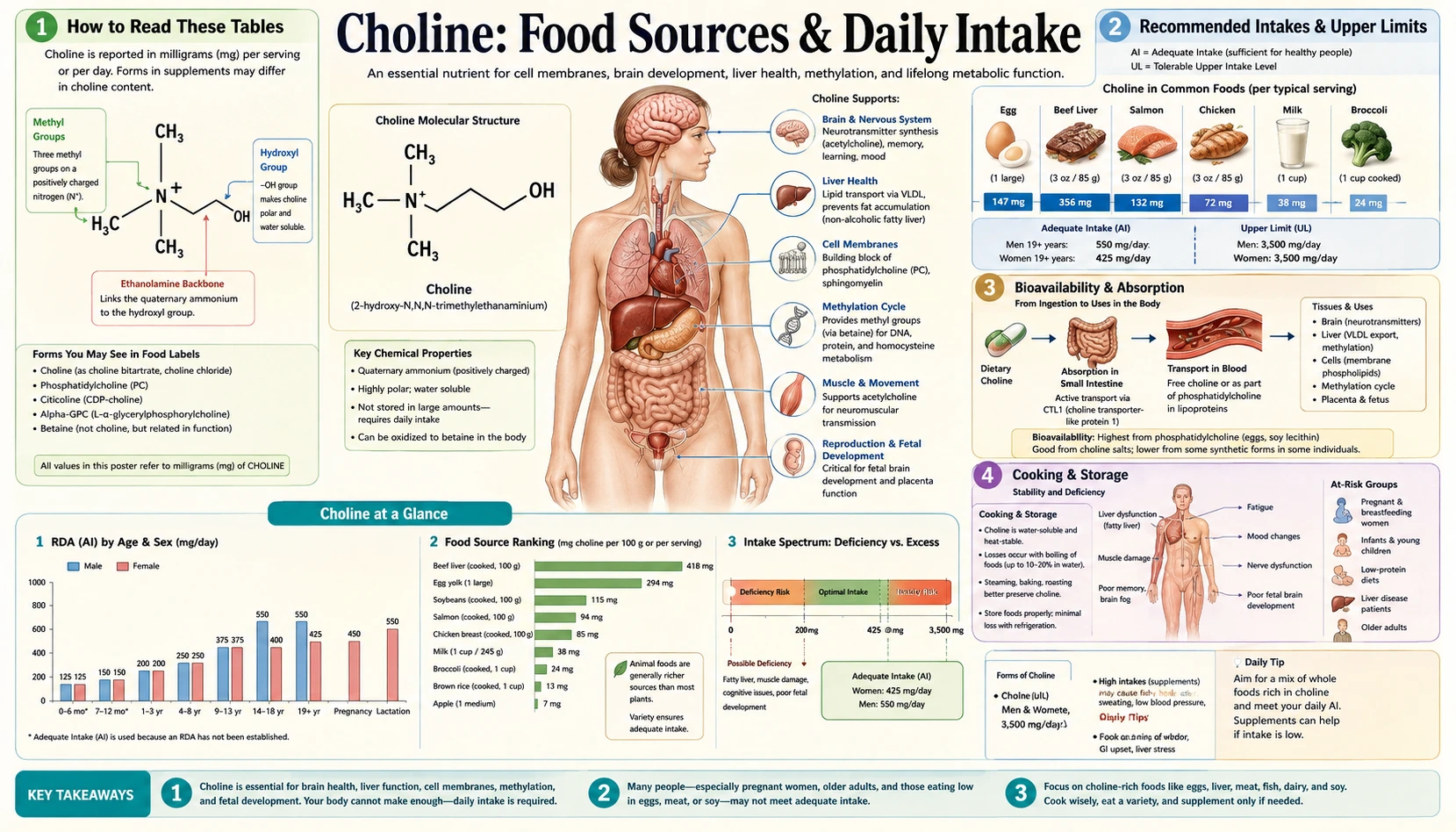 Sources — scientific infographic poster