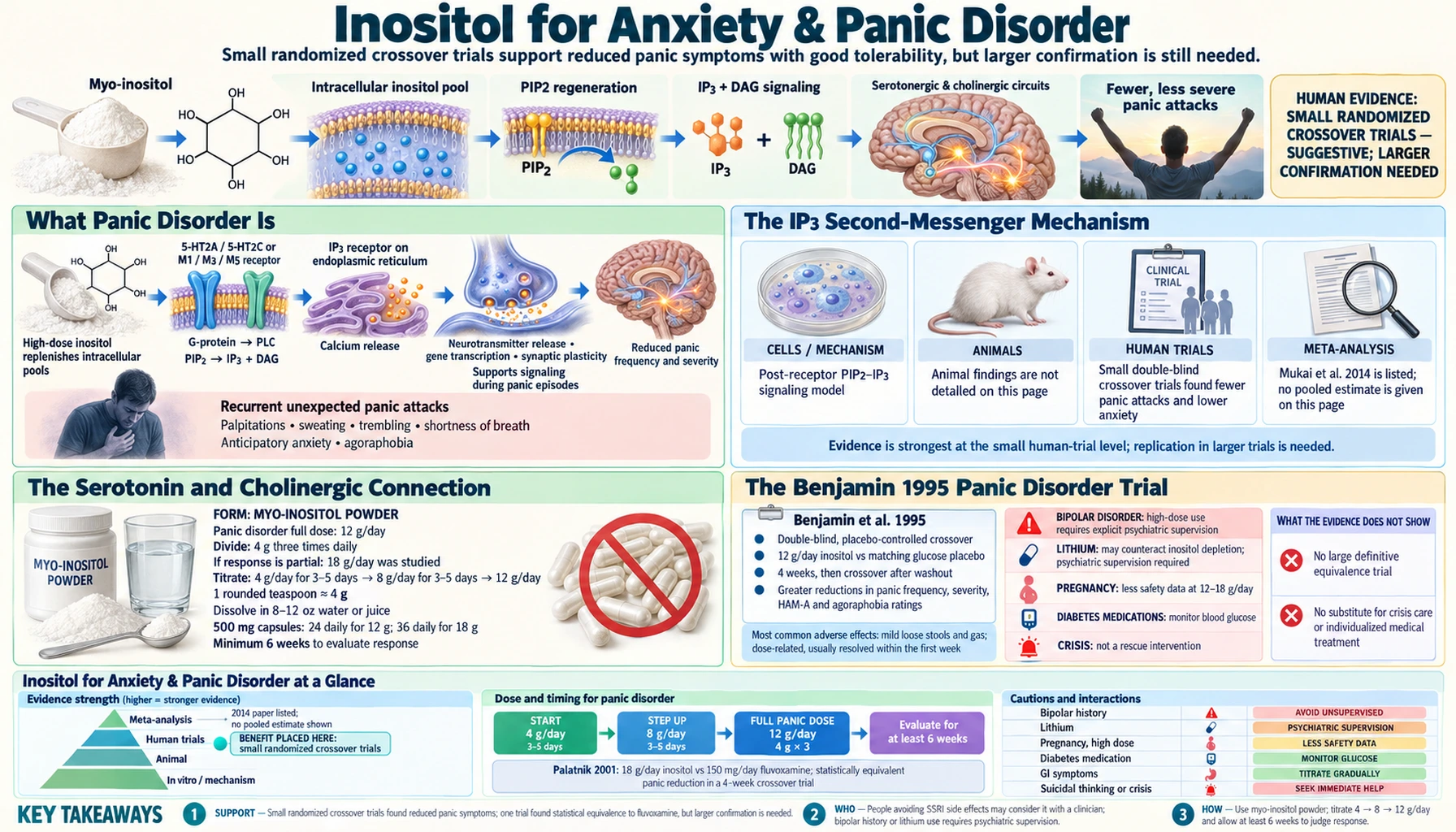 Anxiety and Panic Disorder — scientific infographic poster