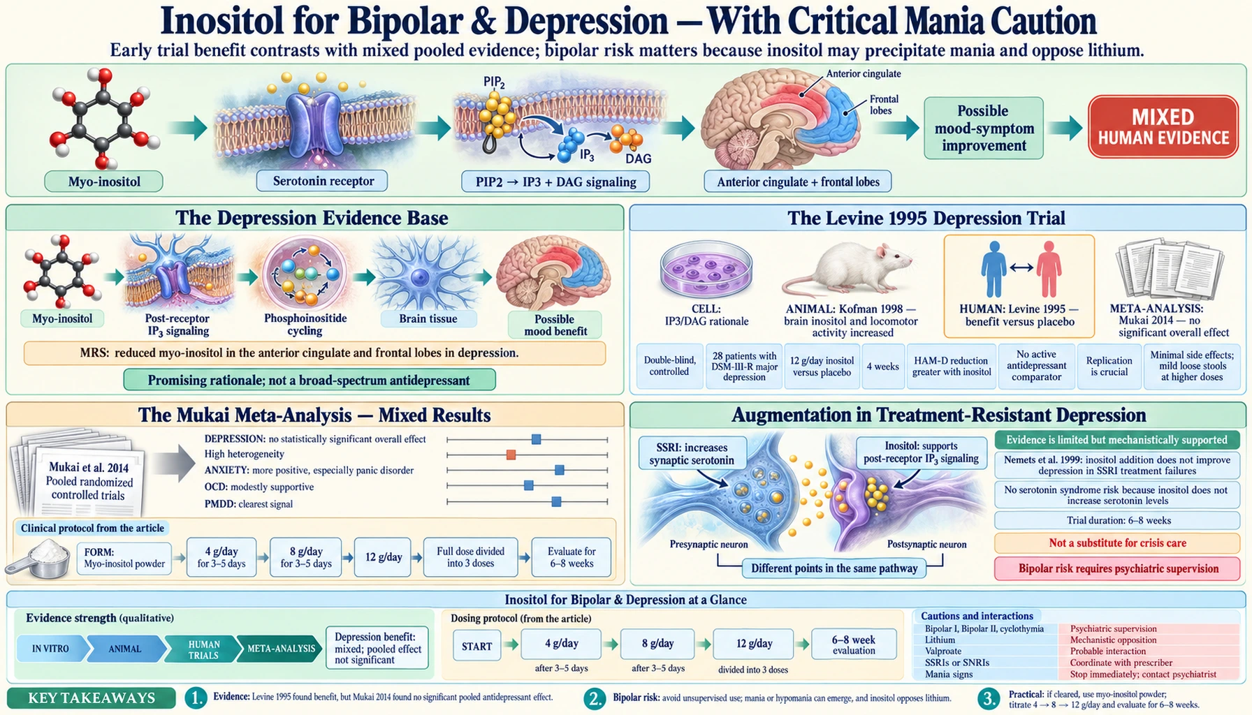 Mental Health Bipolar Depression — scientific infographic poster