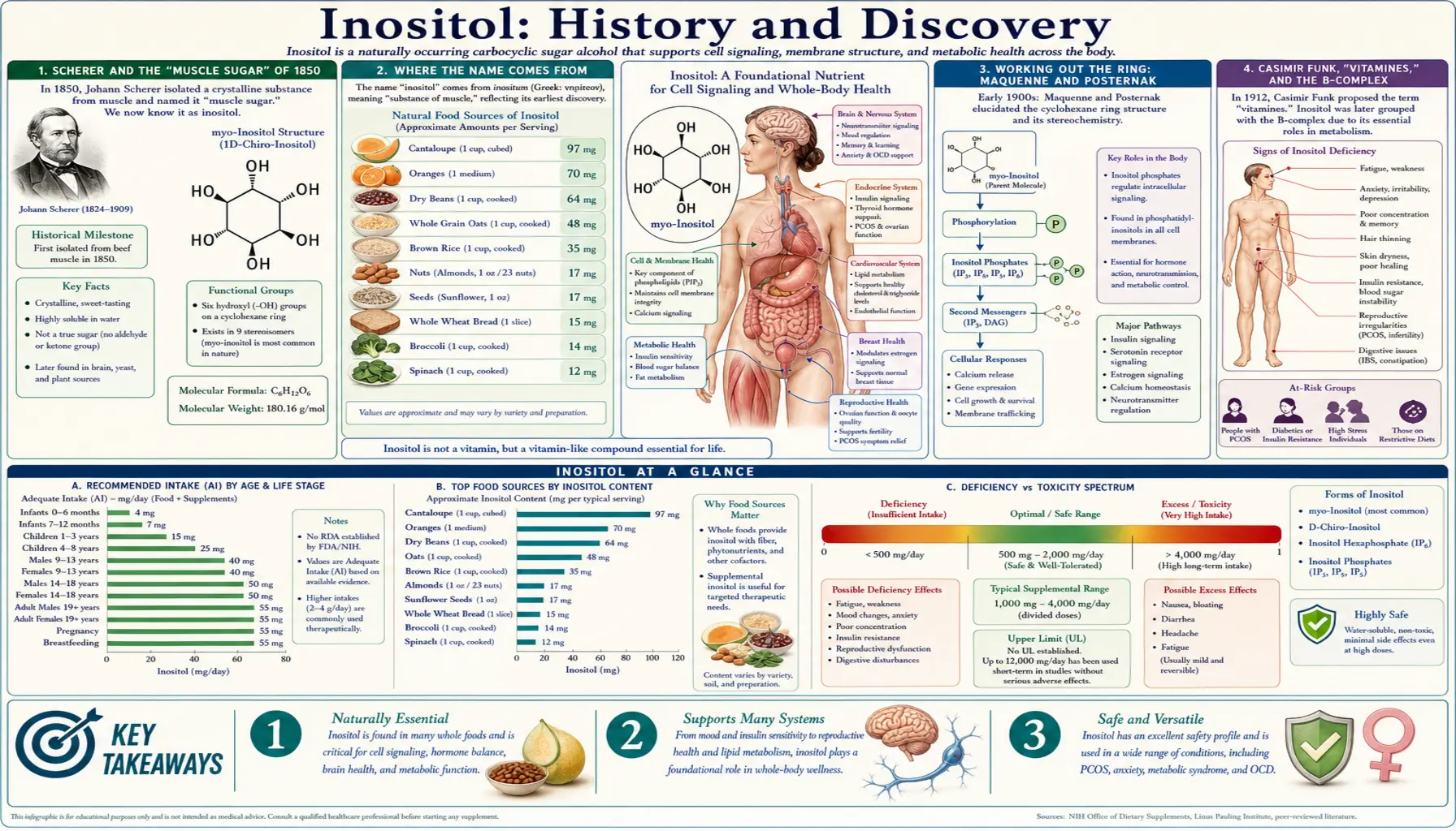 History — scientific infographic poster