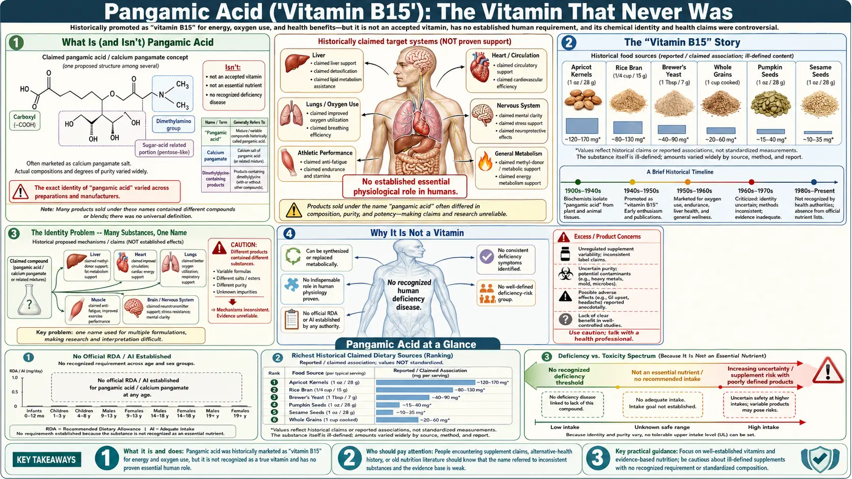 Pangamic Acid — scientific infographic poster