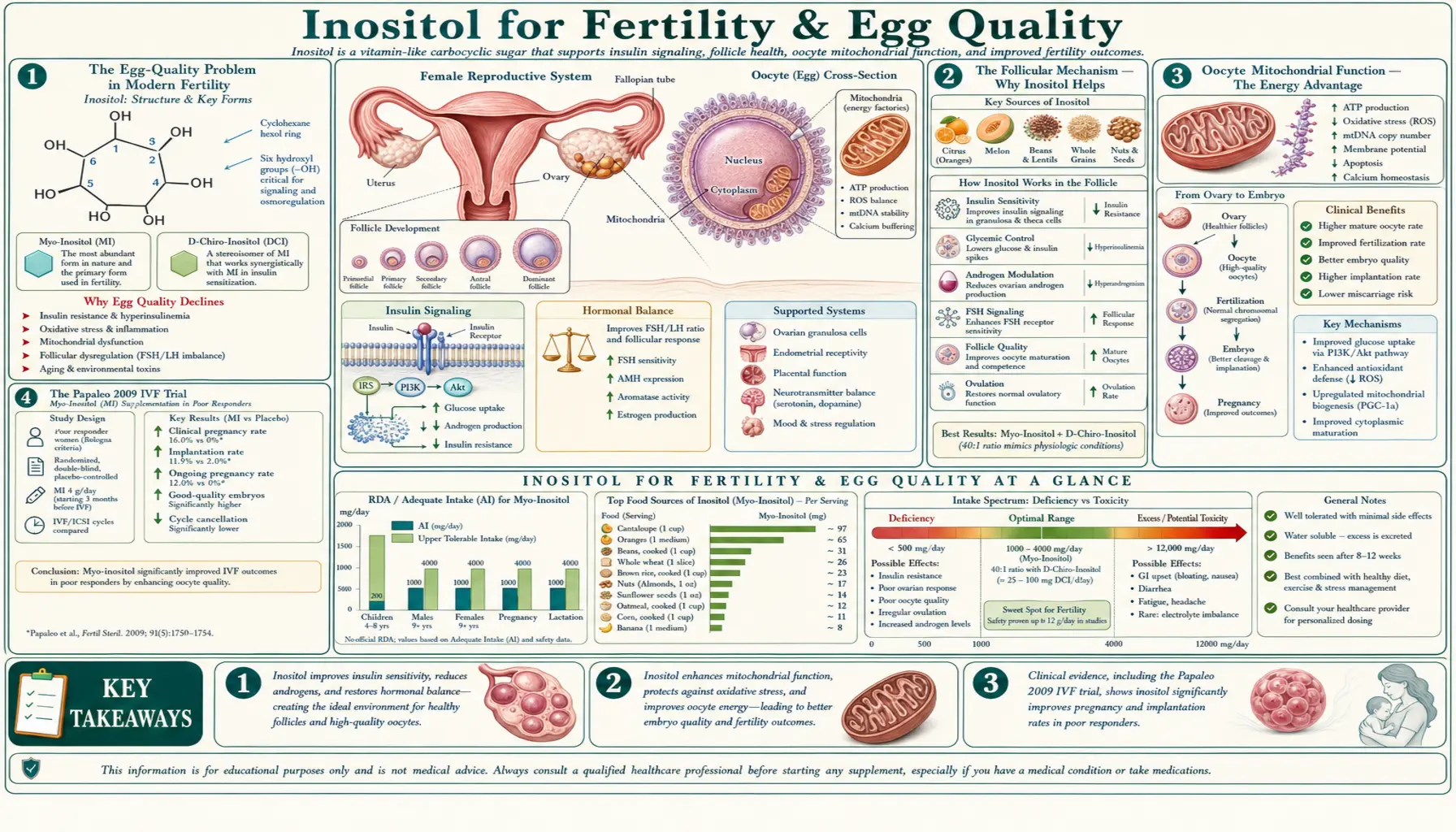 Fertility and Egg Quality — scientific infographic poster