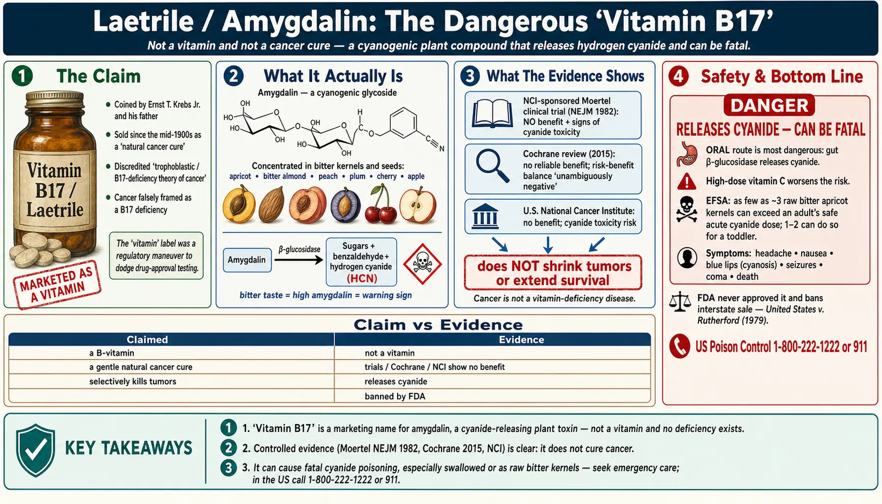 Laetrile — scientific infographic poster