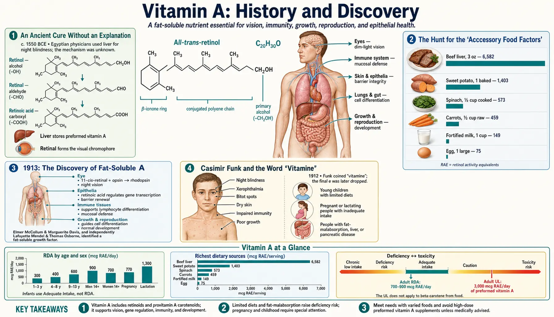History — scientific infographic poster