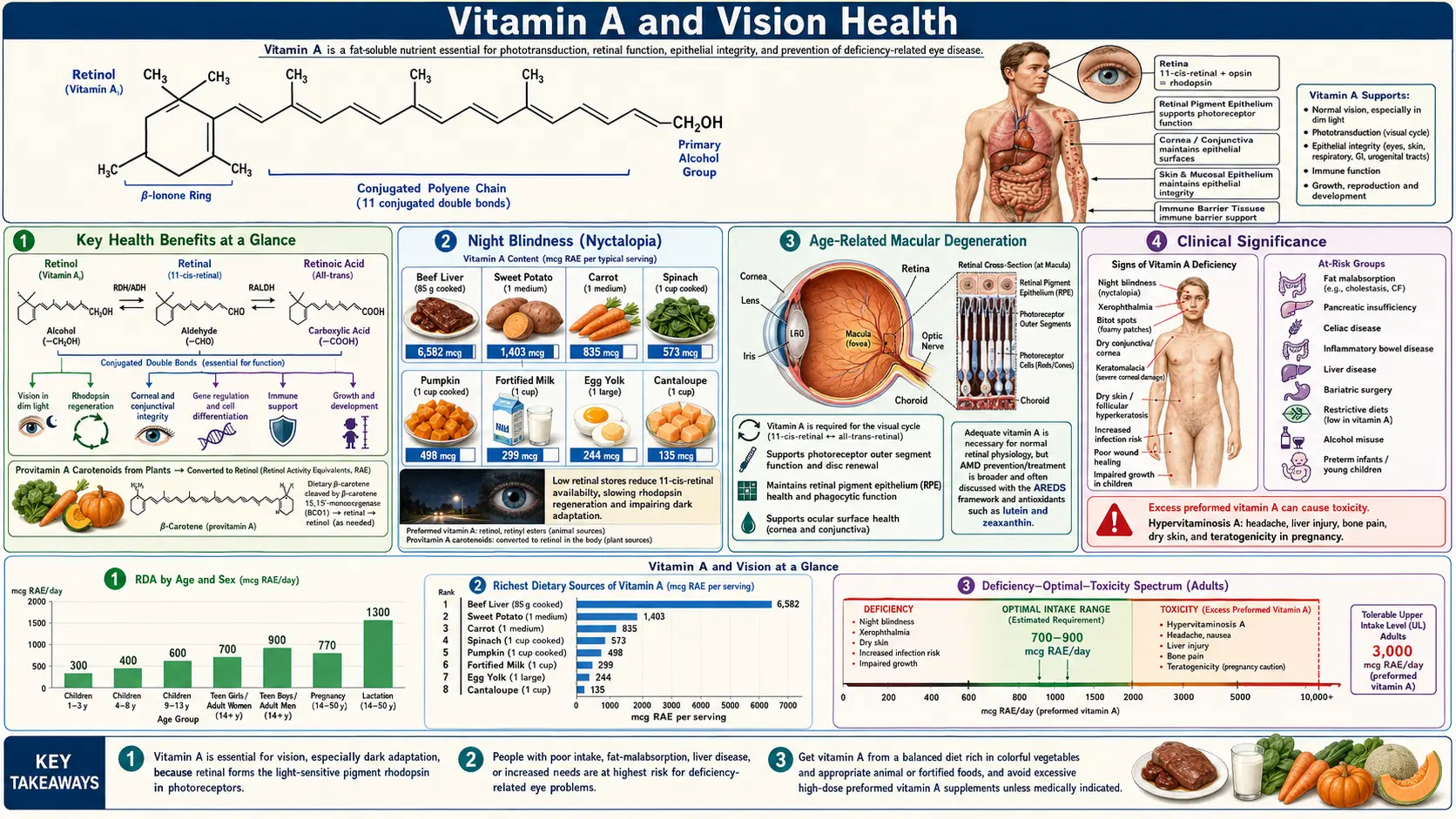 Vitamin A and Vision — scientific infographic poster