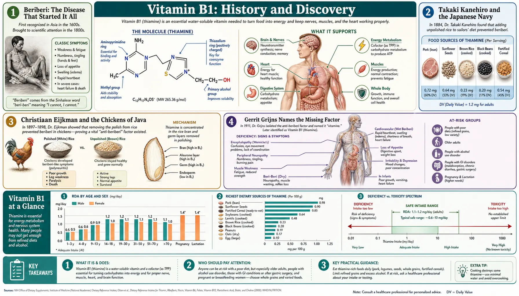 History — scientific infographic poster