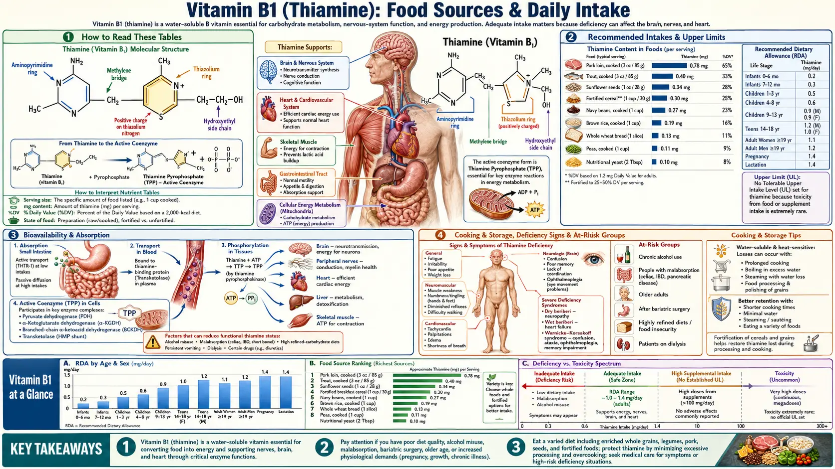 Sources — scientific infographic poster