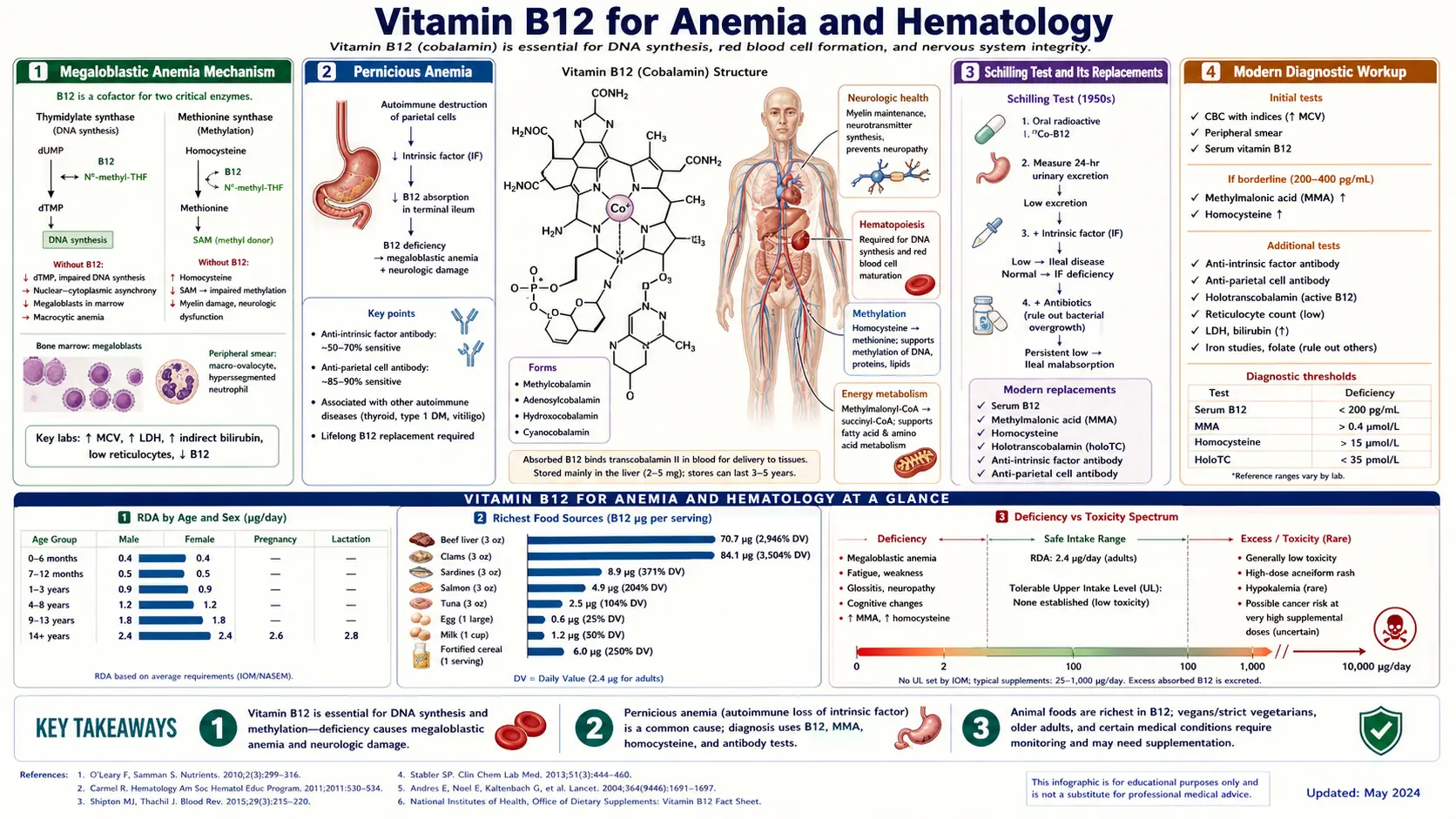 Anemia and Hematology — scientific infographic poster
