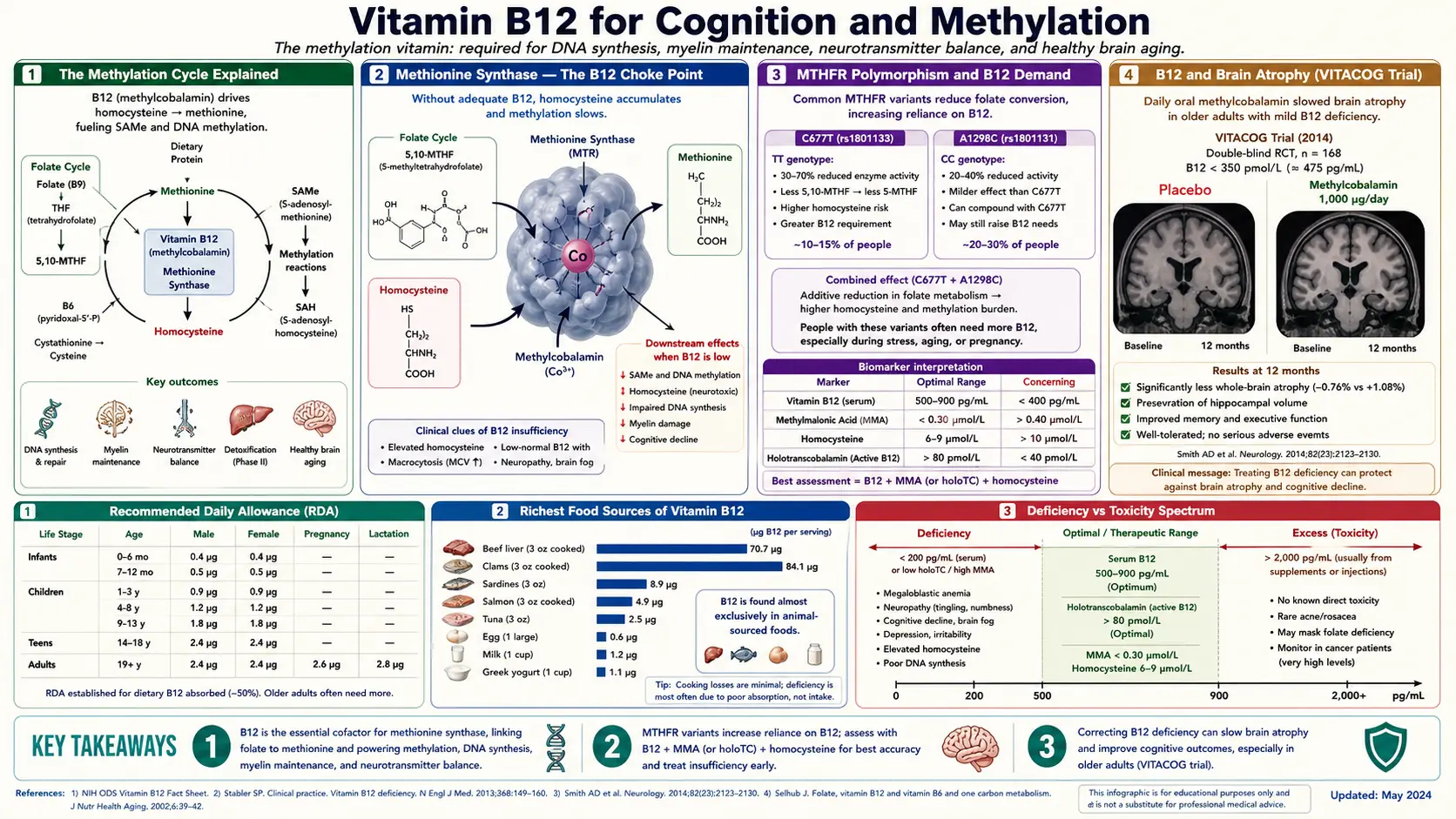 Cognition and Methylation — scientific infographic poster