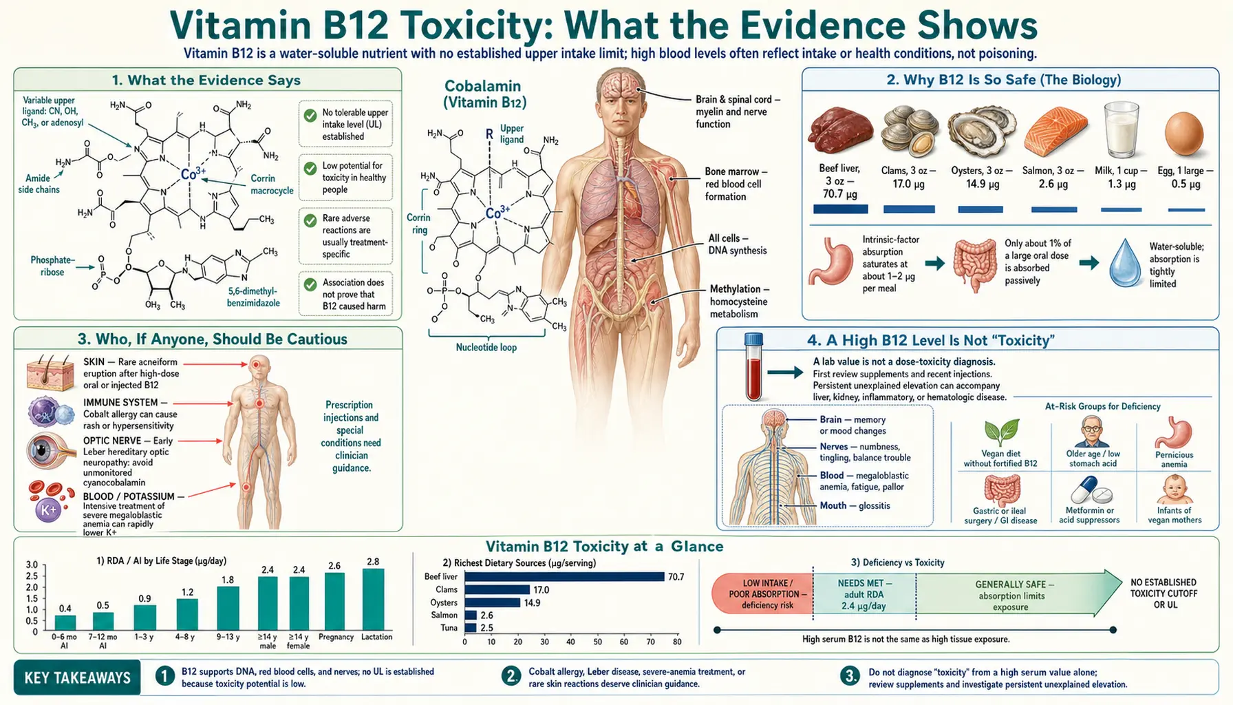 Toxicity — scientific infographic poster