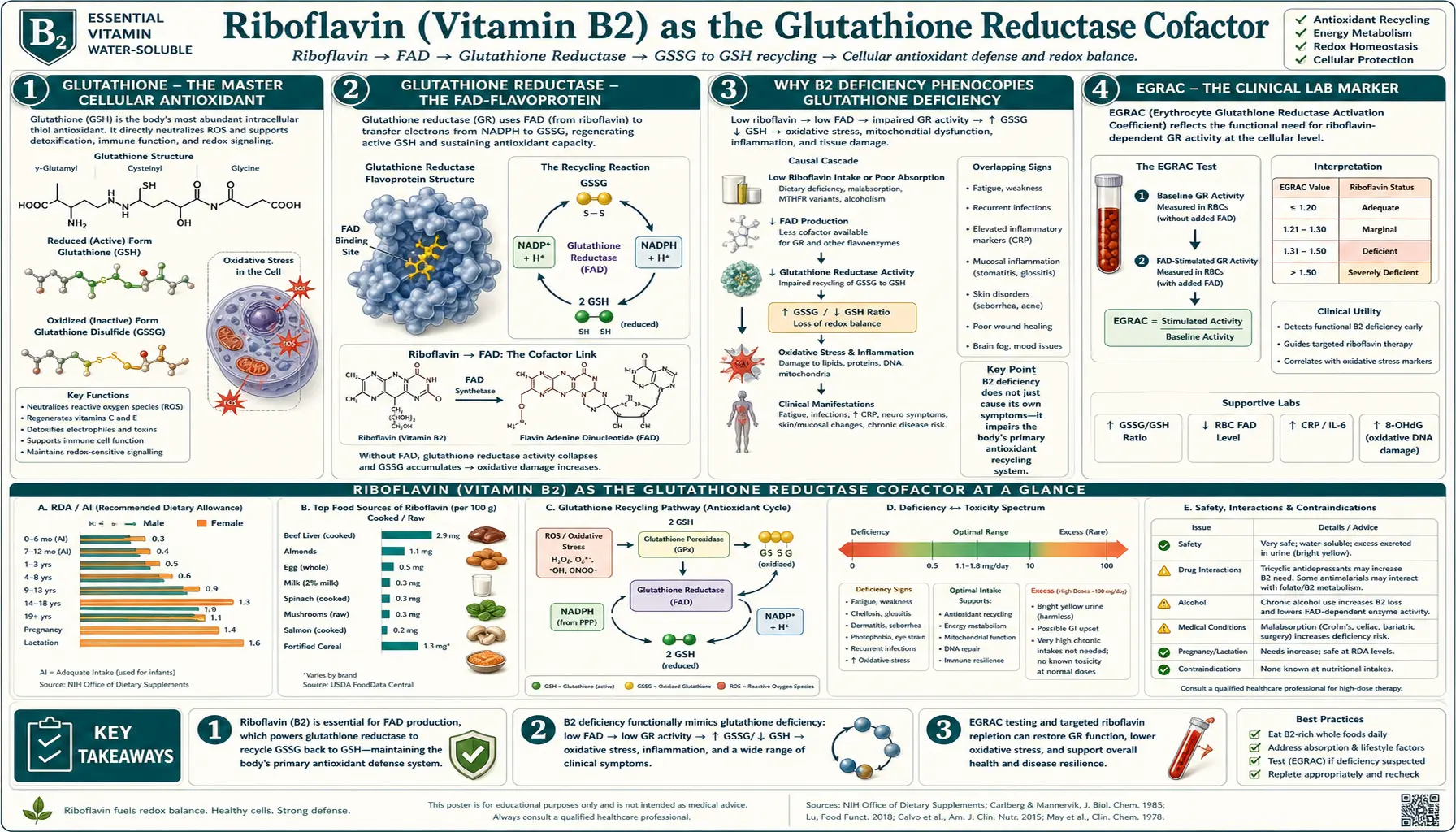 Glutathione Reductase Cofactor — scientific infographic poster