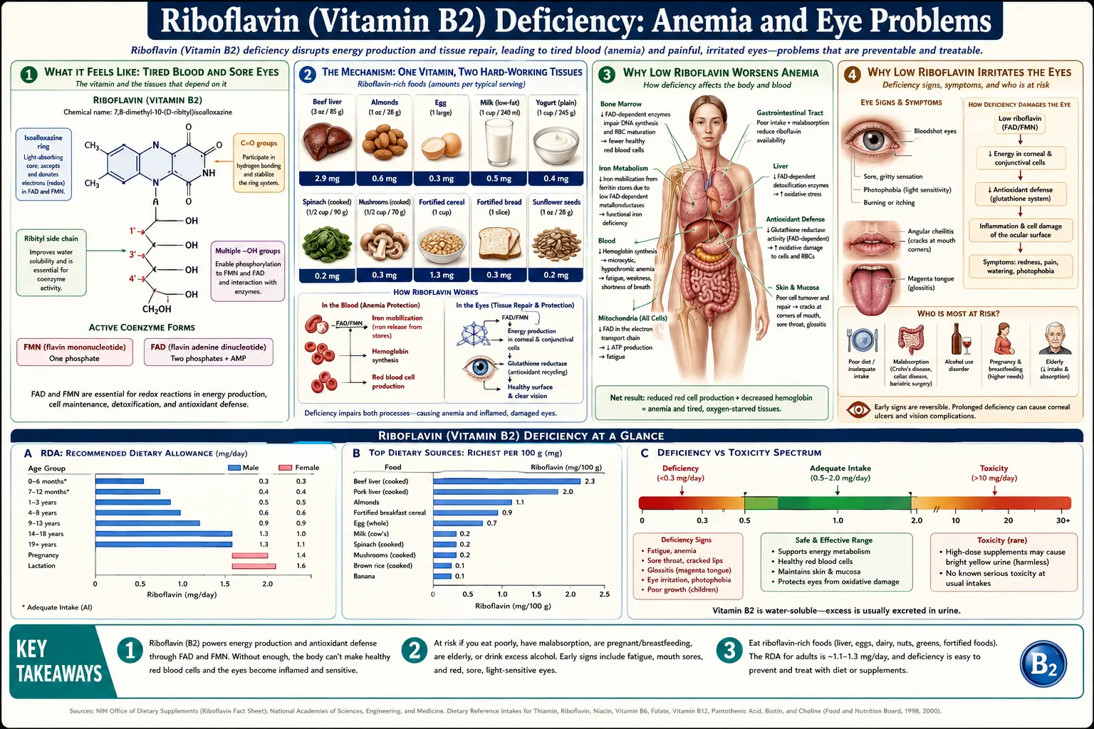 Anemia and Eye Problems — scientific infographic poster