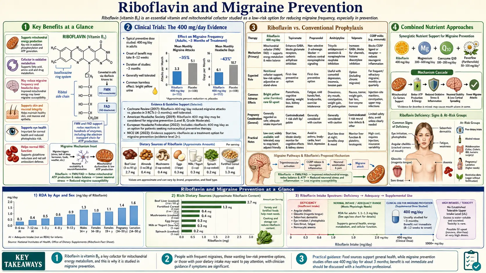 Riboflavin and Migraine Prevention — scientific infographic poster