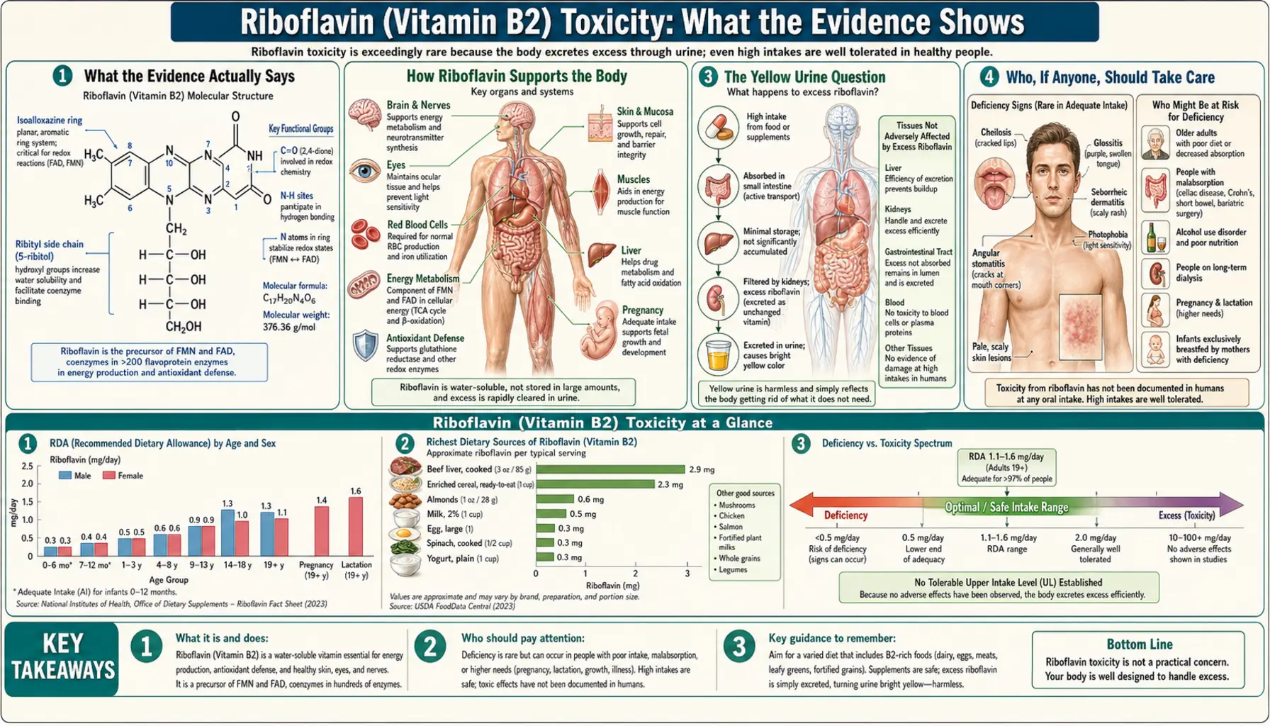 Toxicity — scientific infographic poster