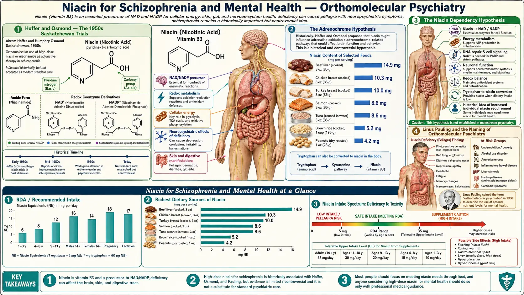 Schizophrenia and Mental Health — scientific infographic poster