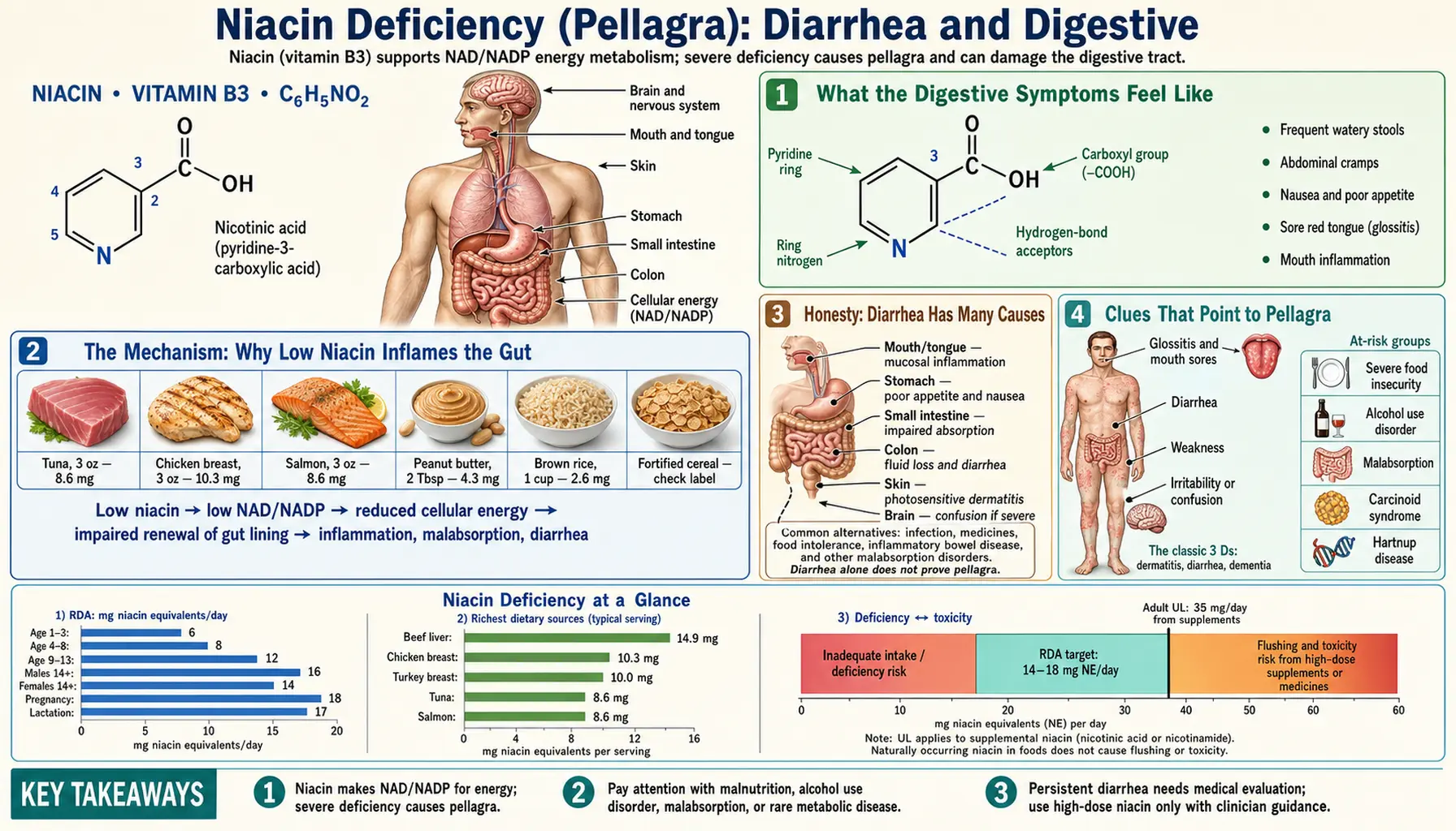 Diarrhea and Digestive — scientific infographic poster