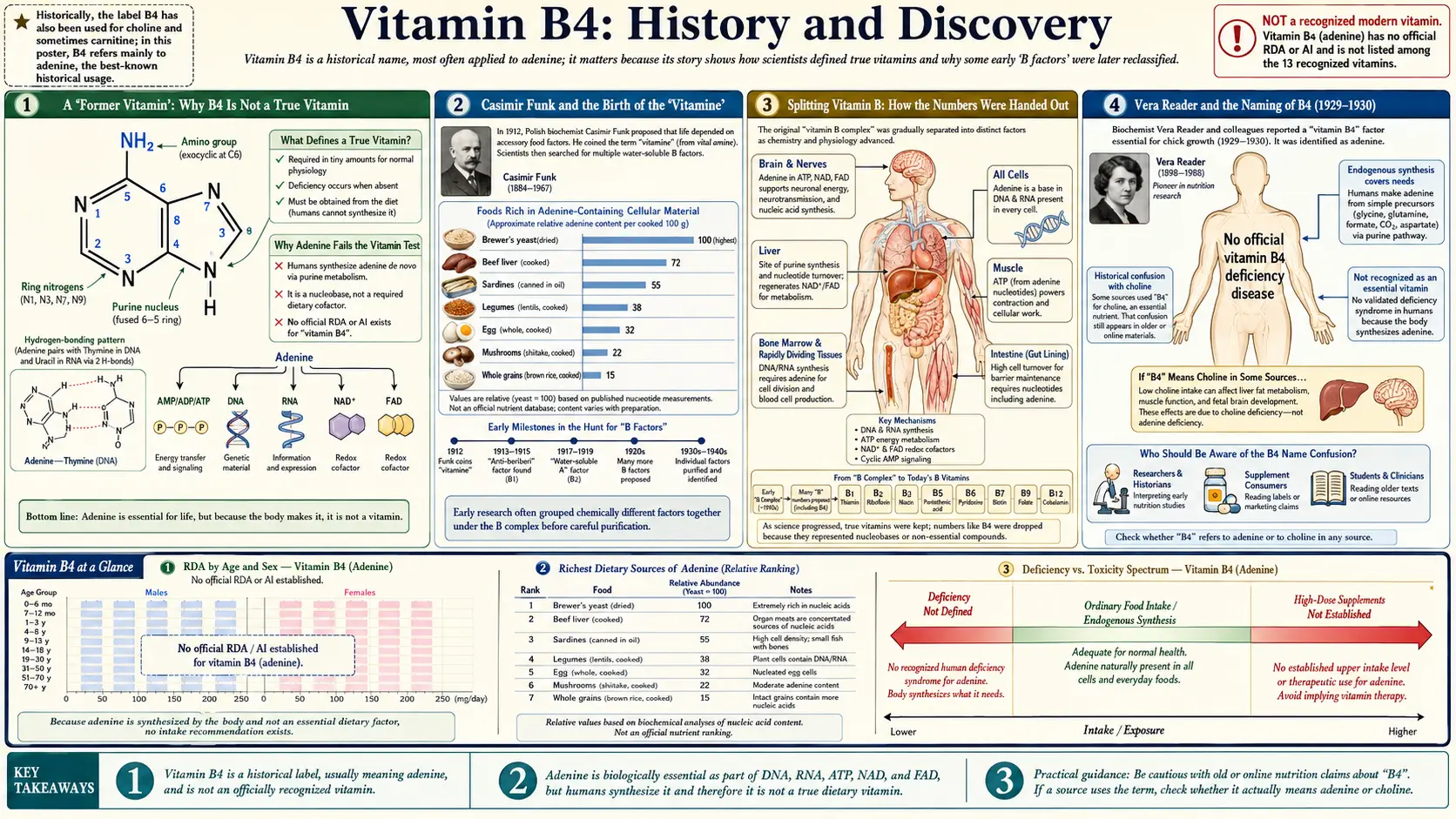 History — scientific infographic poster