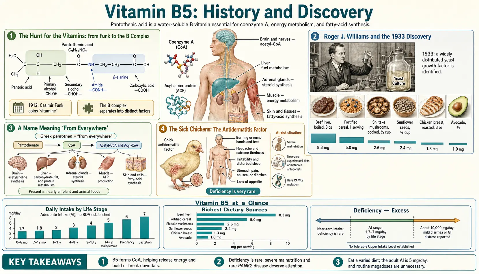 History — scientific infographic poster