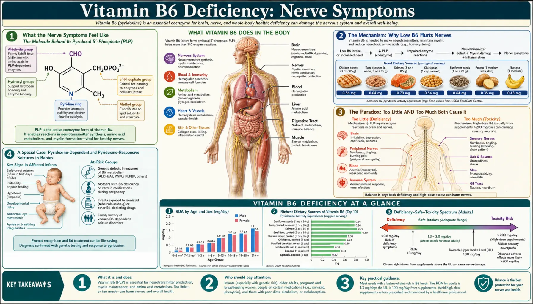 Nerve Symptoms — scientific infographic poster