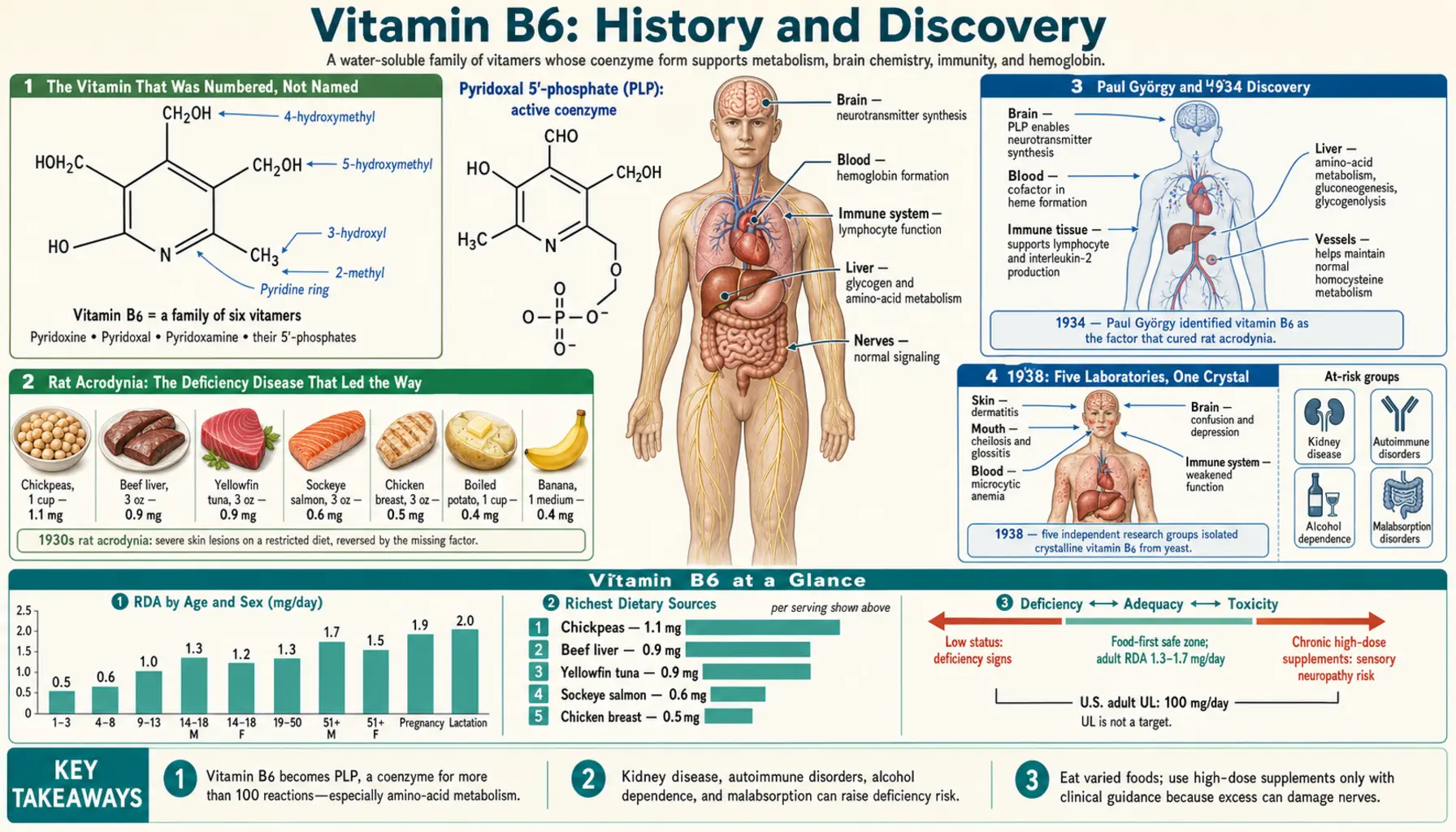 History — scientific infographic poster