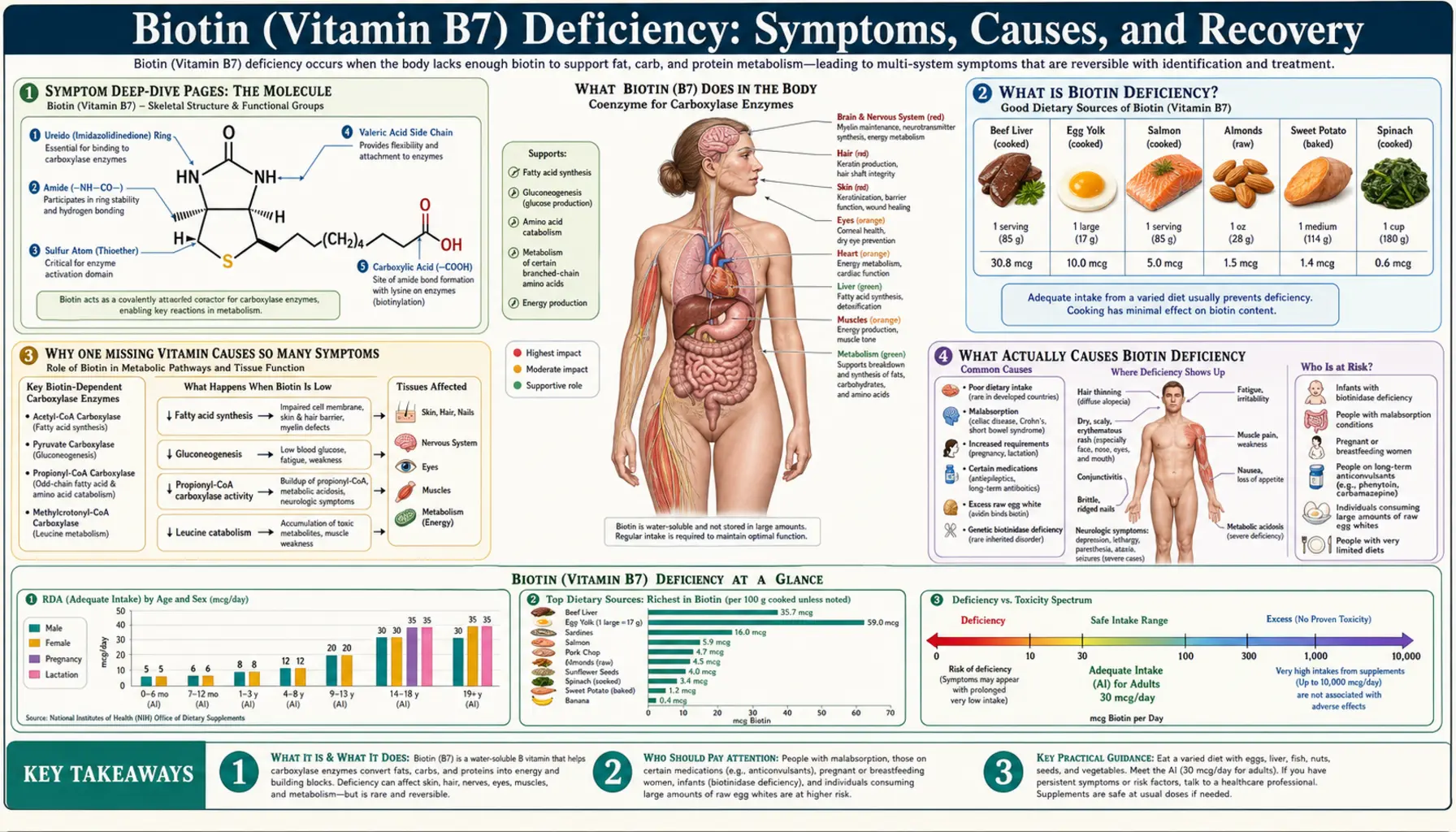 Deficiency — scientific infographic poster