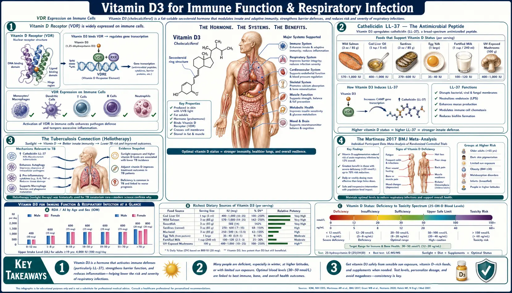 Immune Function — scientific infographic poster