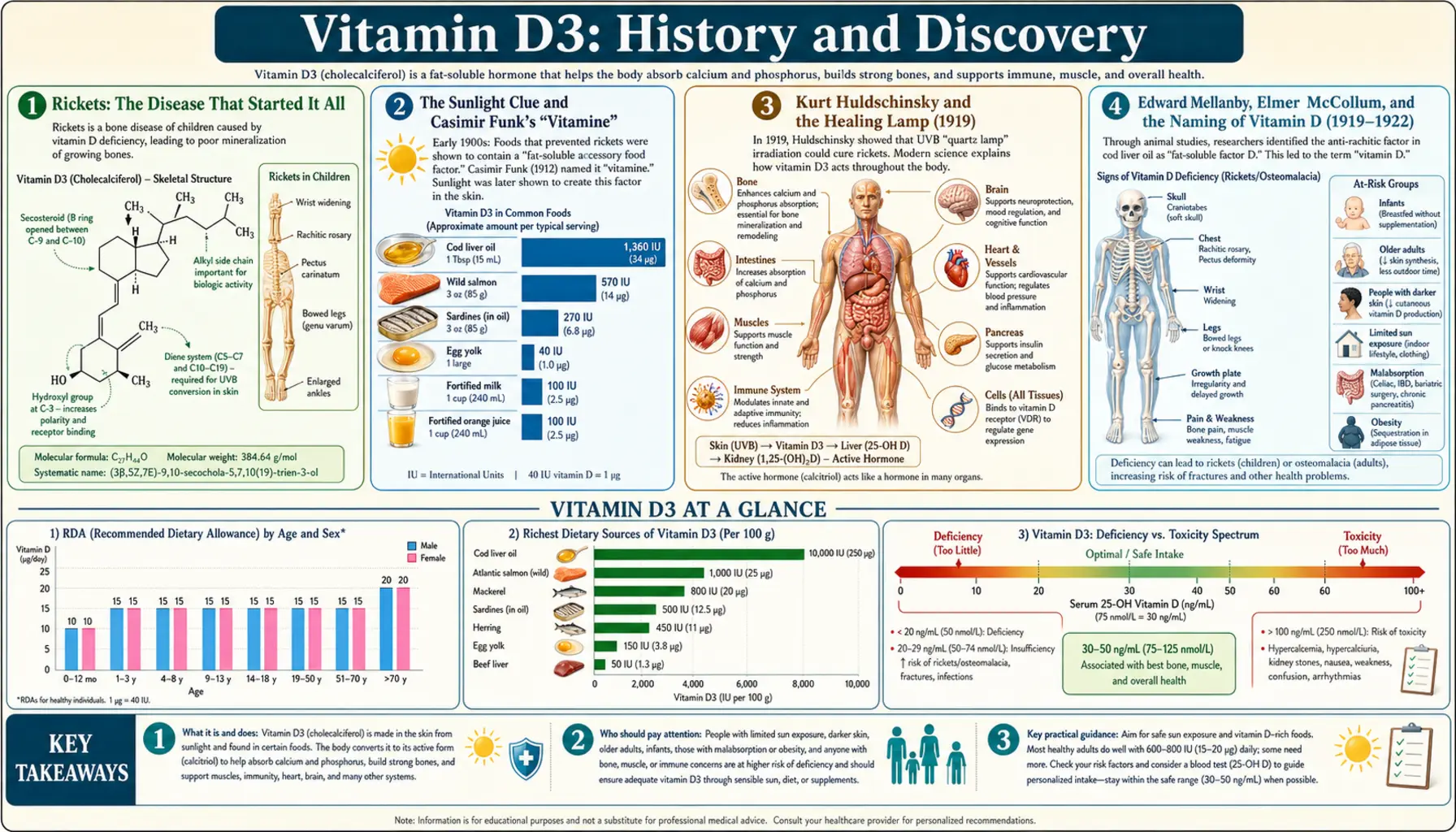 History — scientific infographic poster