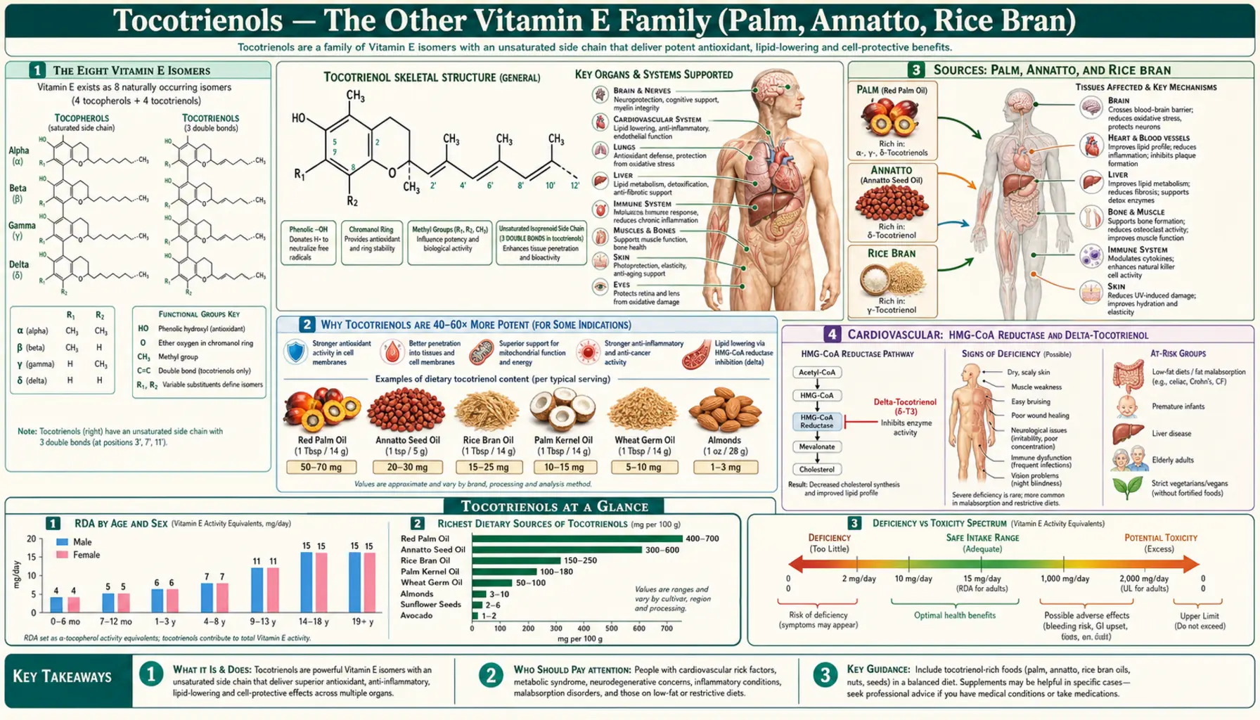 Tocotrienols — scientific infographic poster