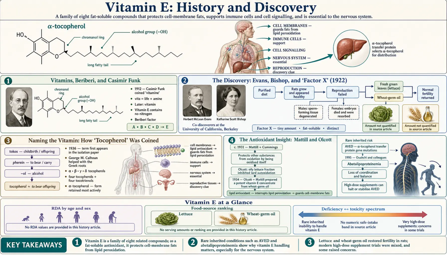 History — scientific infographic poster