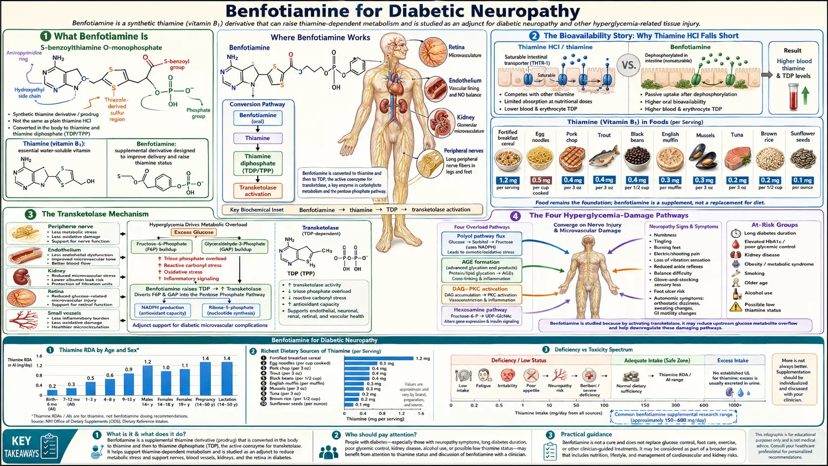 Benfotiamine Diabetic Neuropathy — scientific infographic poster