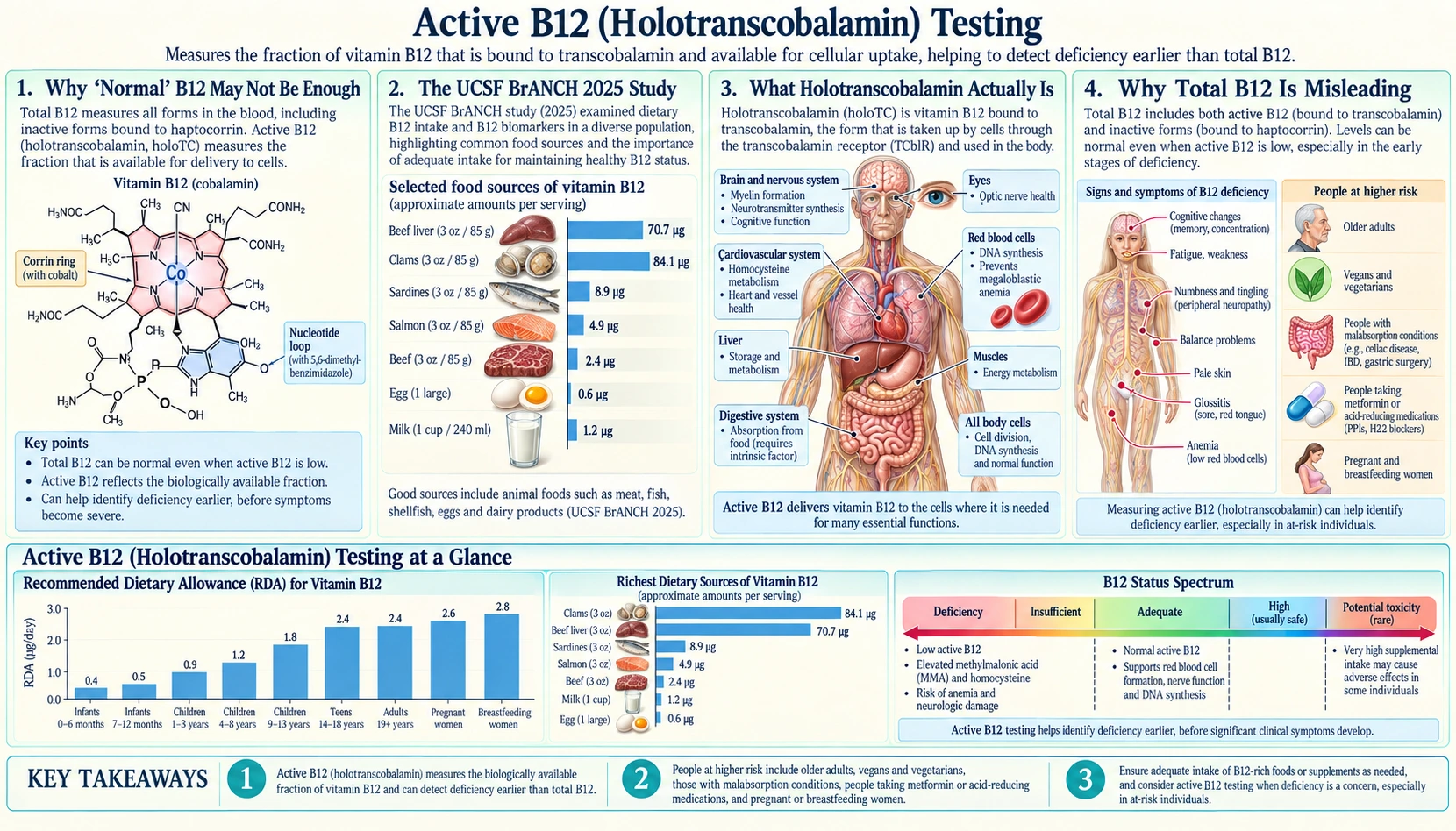 Active B12 Test — scientific infographic poster