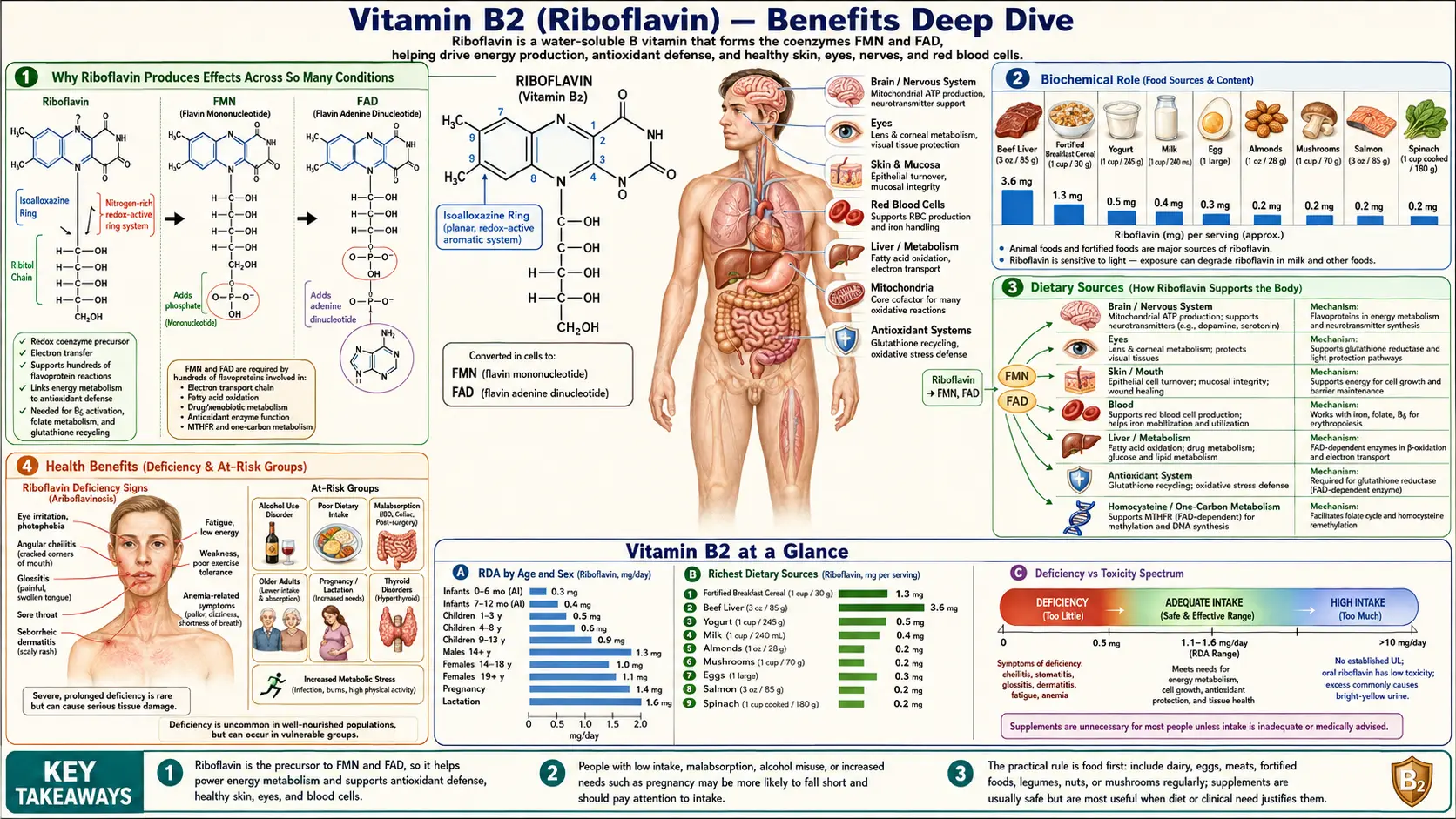 Benefits — scientific infographic poster
