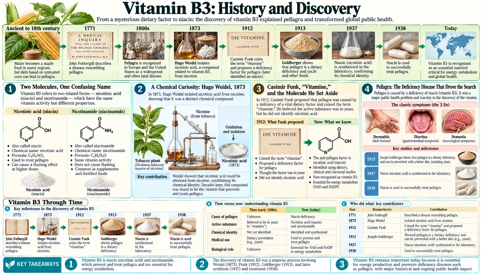 History — scientific infographic poster