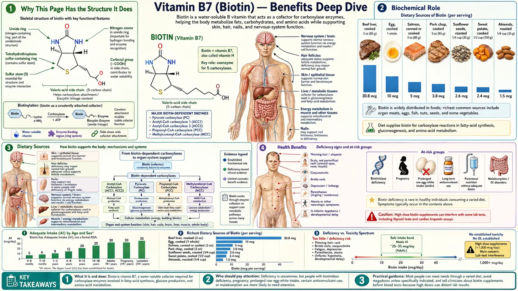 Benefits — scientific infographic poster