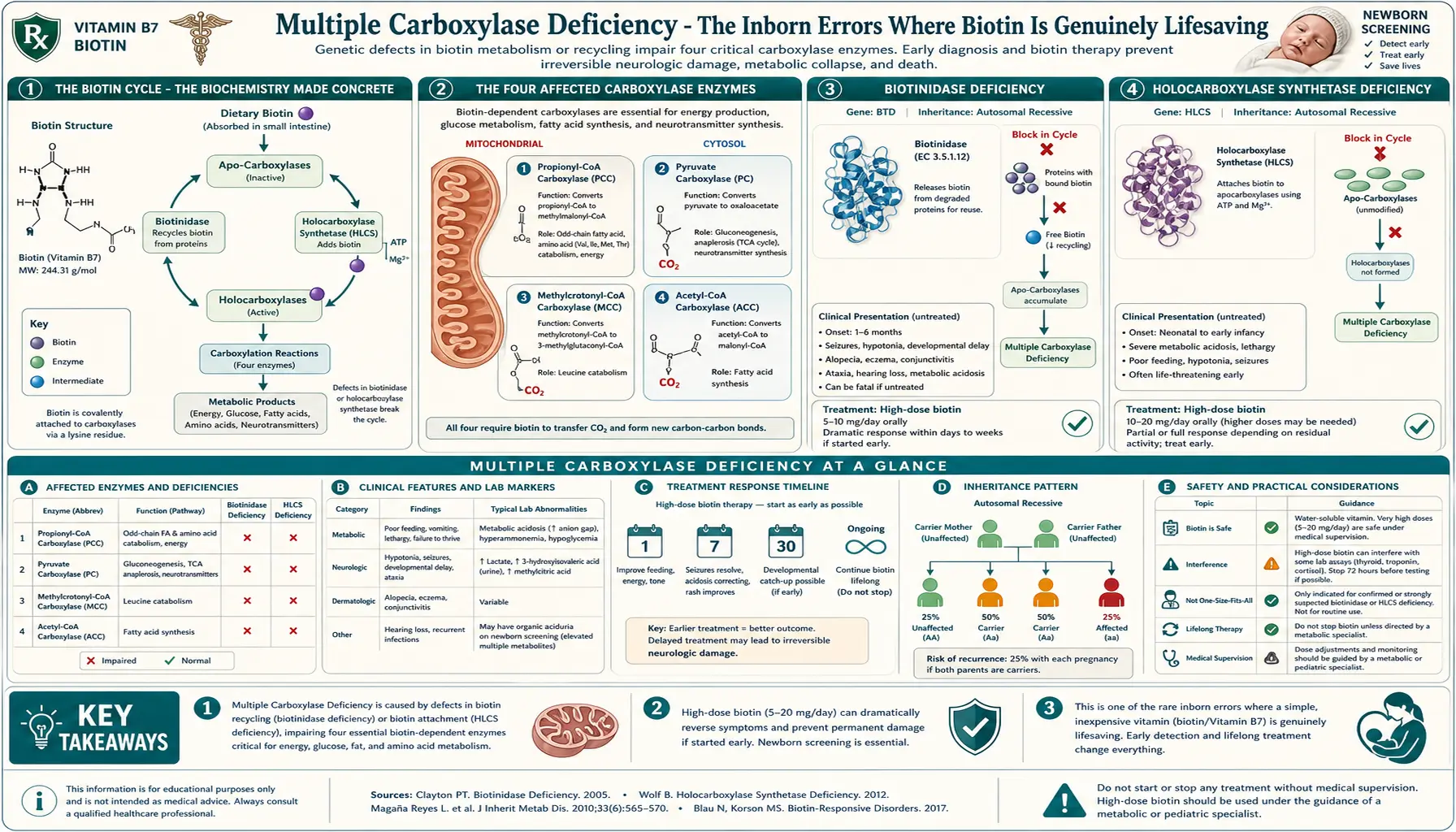 Multiple Carboxylase Deficiency — scientific infographic poster