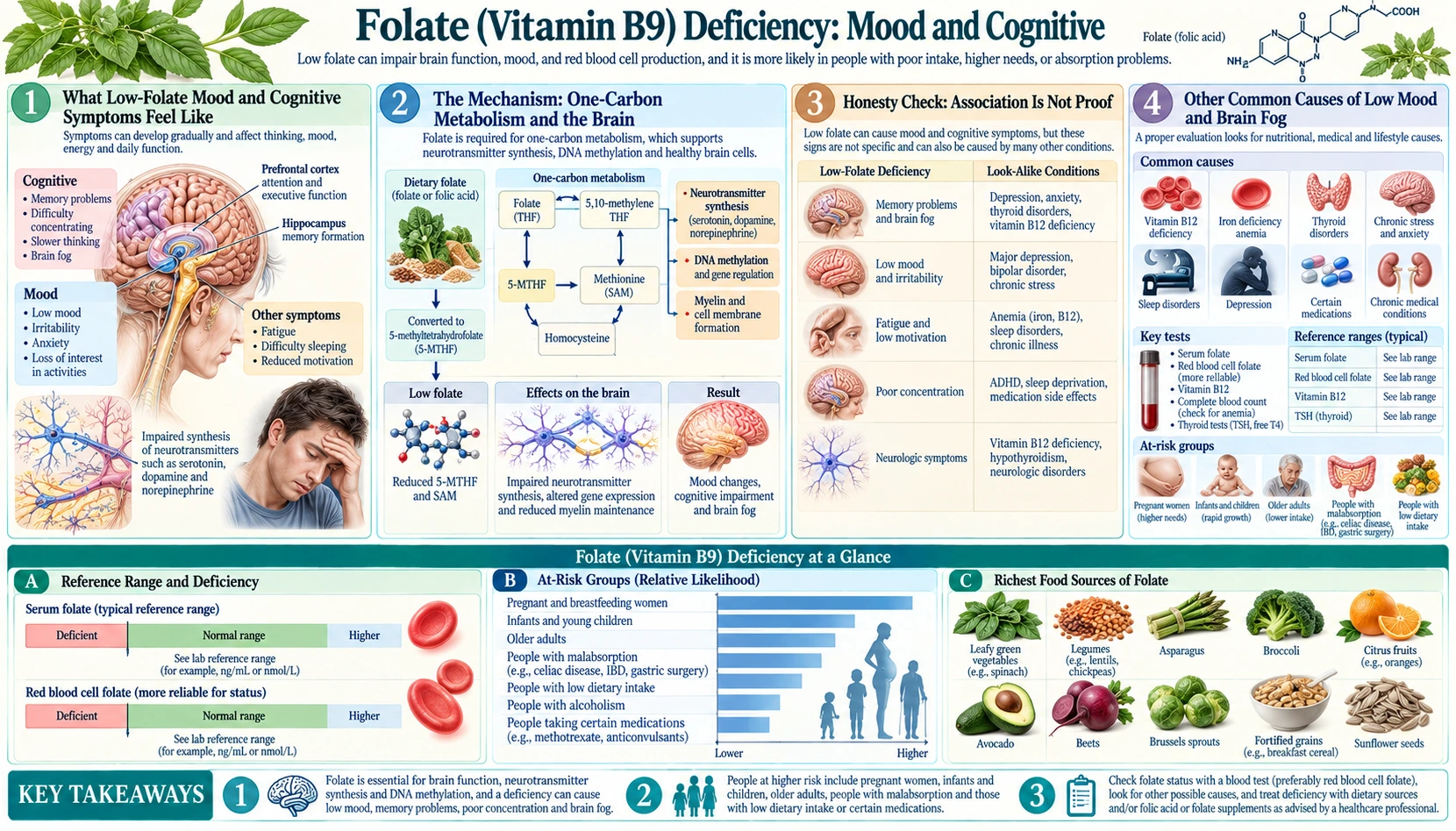 Mood and Cognitive — scientific infographic poster