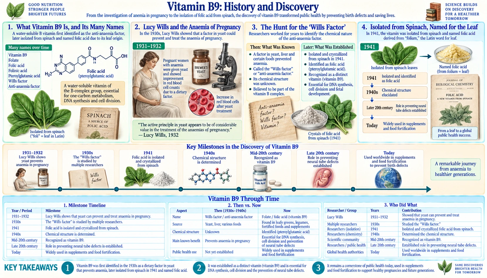 History — scientific infographic poster